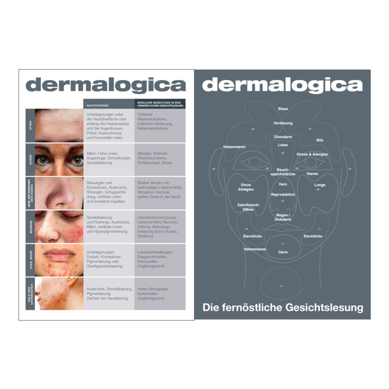 Facemapping Spickzettel A5-laminiert